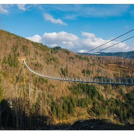 Hochfirst 10 * Titisee-Neustadt