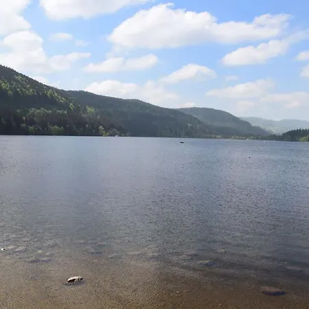 Hochfirst 10 * Titisee-Neustadt