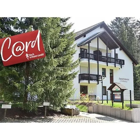 Hochfirst 10 Feriehus Titisee-Neustadt