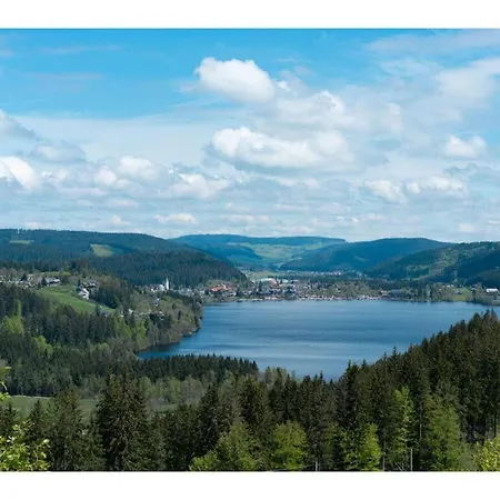Feriehus Hochfirst 10 *